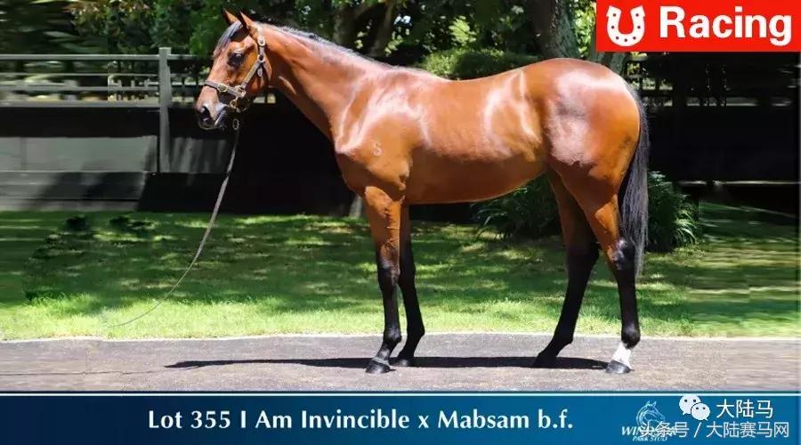 内蒙古莱德马业图片,内蒙古莱德马业最新消息