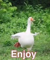 香港护肤彩妆品牌排行前十,香港好用的平价护肤品推荐