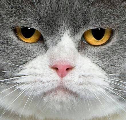 女子睡觉梦到老公惹自己生气,女子梦到老公出轨醒后暴打