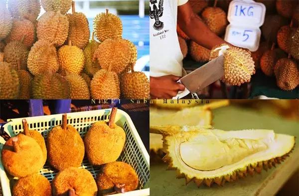 夏天一定要去一次沙巴吗,什么时候去沙巴旅游最适宜