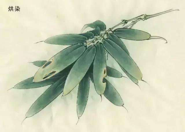 以写实造型为主的现代工笔人物画,工笔花鸟画写实精神的影响