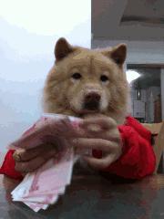 父母能挪用压岁钱吗?你对待压岁钱的态度,决定了孩子的人生格局