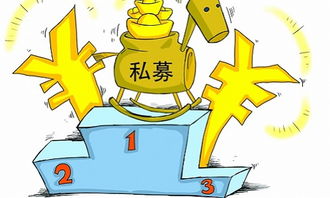 私募股权投资的起源及发展历程,私募股权投资与商业模式