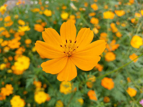 文本直送科技新闻:宏达电旗舰智慧型手机「HTC10」崭新体验，十分完美！