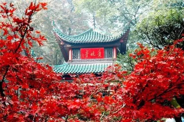 太精辟！在长沙生活的26种神奇体验！你在长沙十几年可能都不知道....