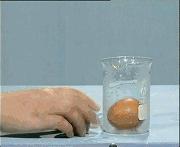 物理大师化学方程式,物理化学知识点方程式