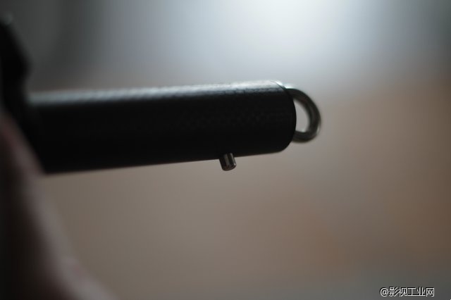 长颈鹿摇臂,印迹长颈鹿摇臂