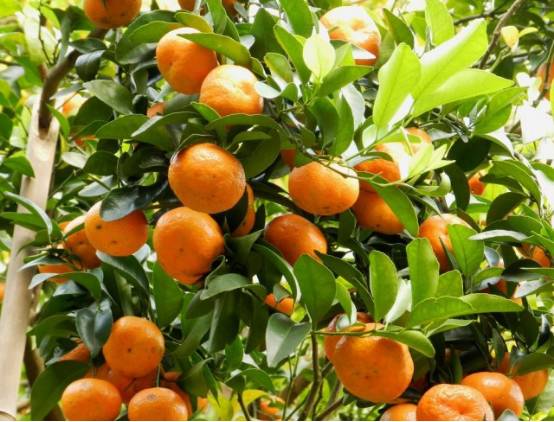 送你一份价值百万的个人成长秘籍,送你一本申论秘籍