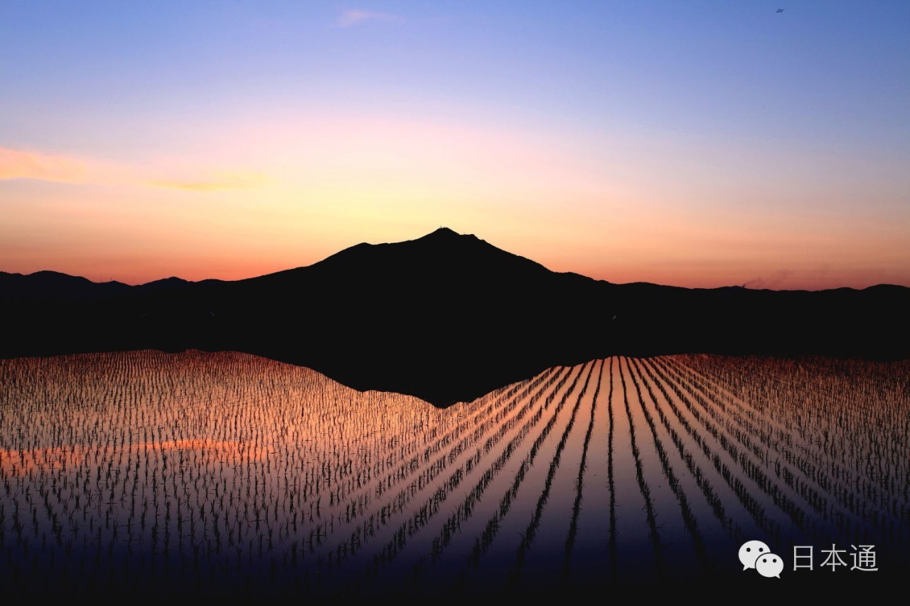 千万不要去魅力指数连续3年倒一的茨城，给你十个理由够不够