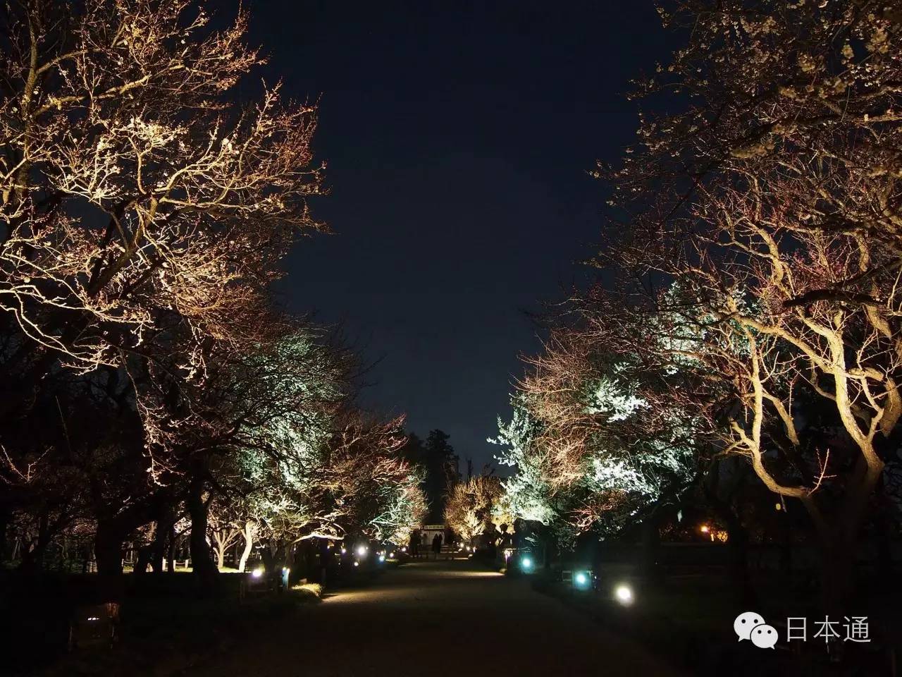 千万不要去魅力指数连续3年倒一的茨城，给你十个理由够不够