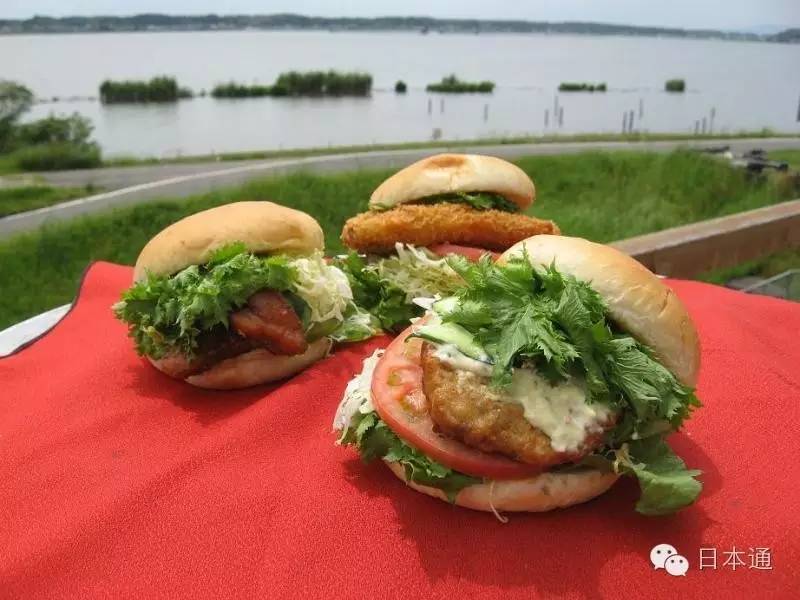 千万不要去魅力指数连续3年倒一的茨城，给你十个理由够不够