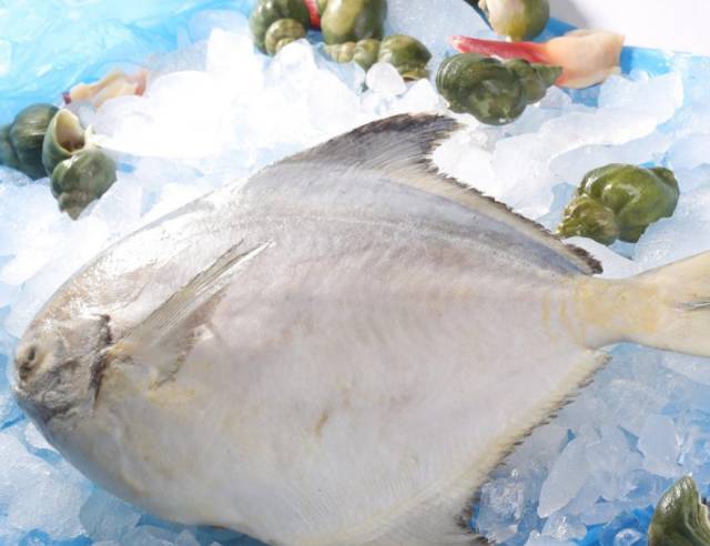 青岛的特产有哪些值得买,青岛有啥特产可以带回去