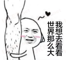 雅思备考全攻略45天战7分,高中生雅思怎么备考