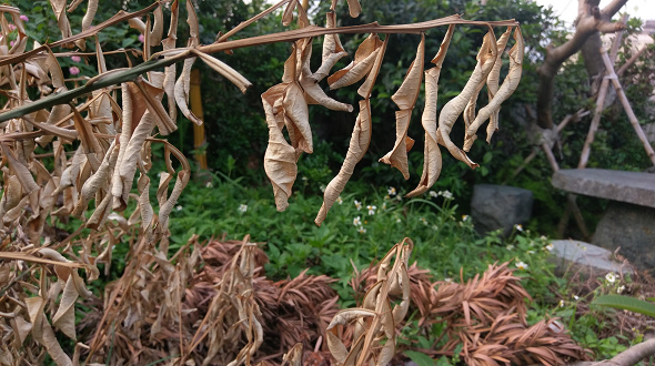 文本直送科技新闻:宏达电旗舰智慧型手机「HTC10」崭新体验，十分完美！