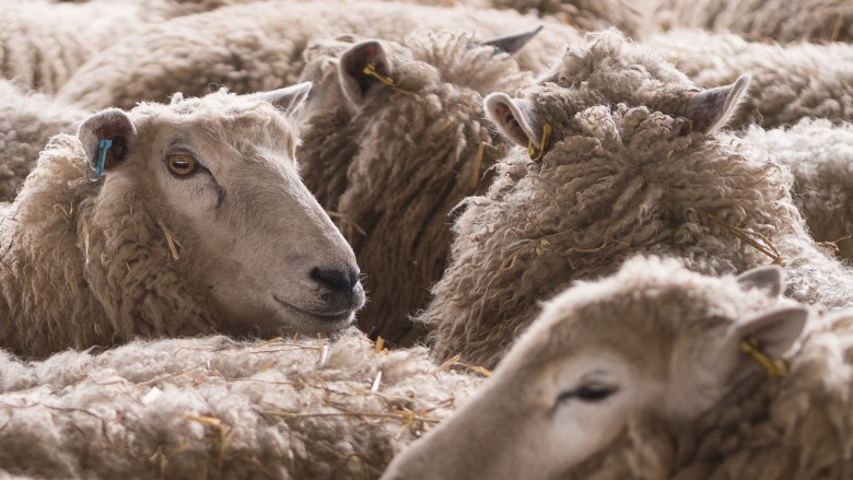 全是添加剂你还敢吃吗,十种添加剂最好不要吃
