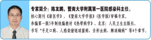 手足口病的预防与护理攻略,手足口病在流行季节如何预防