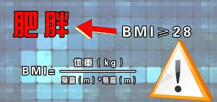 5.11世界防治肥胖日英文名,511世界防治肥胖日