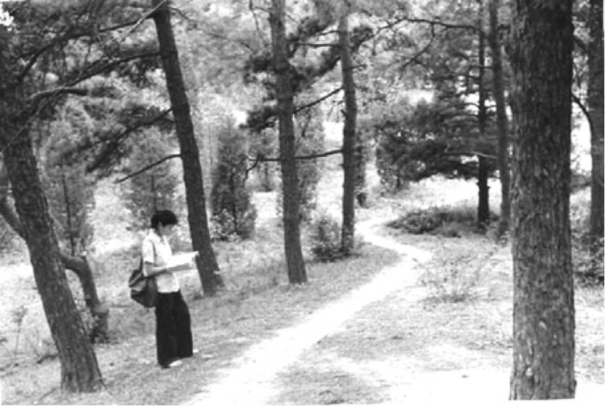 没有网络的年代是多么快乐,没有网络的大学生活