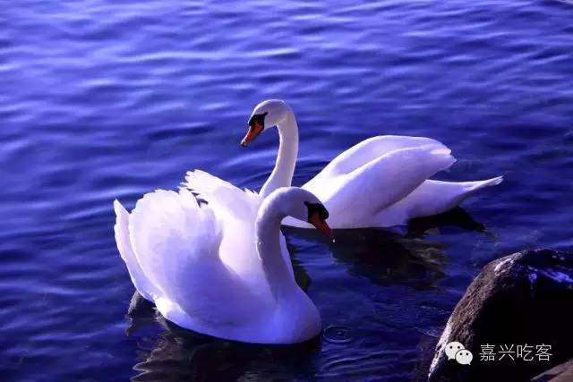 520红包可以收回吗,红包退还通知