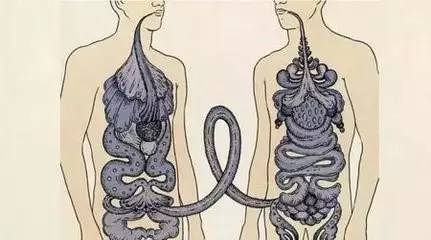 粪菌移植的讲解视频,粪菌移植最新方法