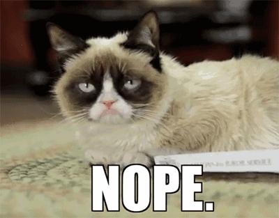 我家毛球最好抱了!不过该怎么抱?