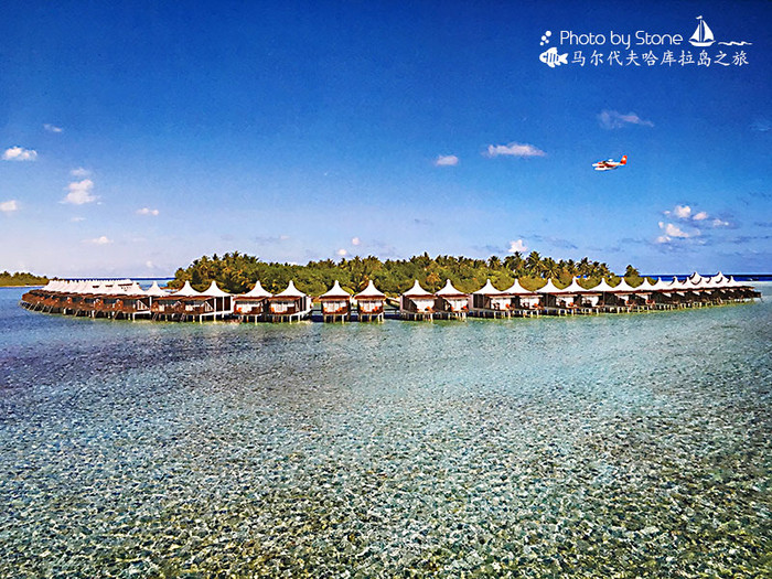 美丽的马尔代夫视频音乐,马尔代夫哈拉微莉岛游记