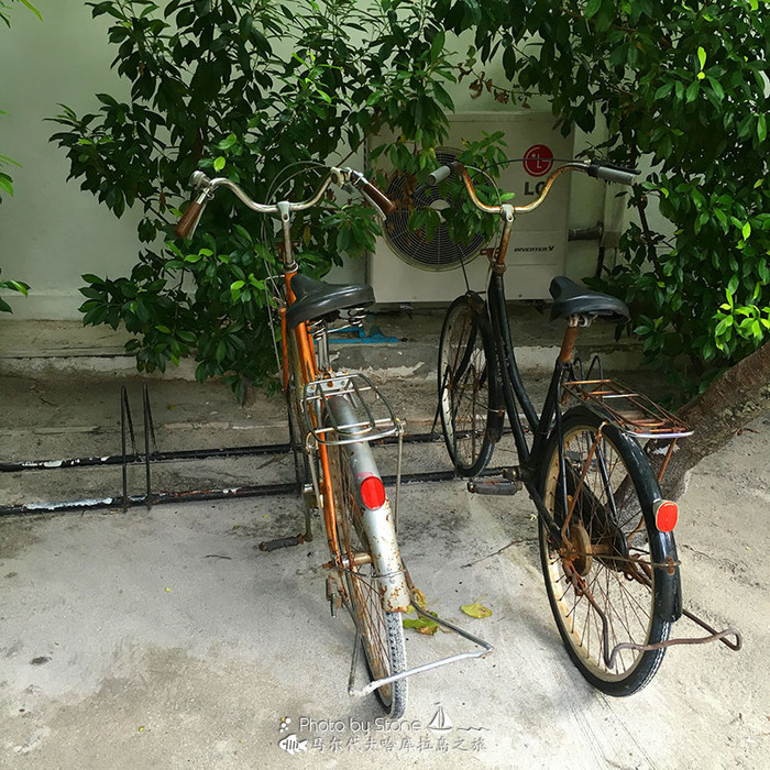 美丽的马尔代夫视频音乐,马尔代夫哈拉微莉岛游记