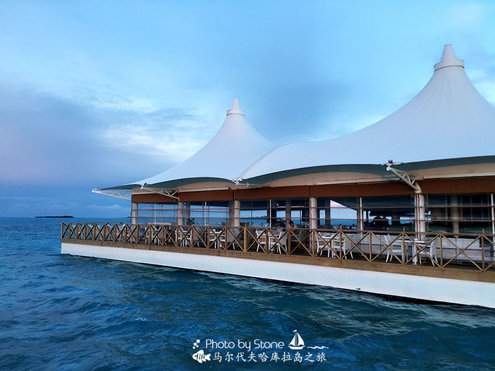 美丽的马尔代夫视频音乐,马尔代夫哈拉微莉岛游记