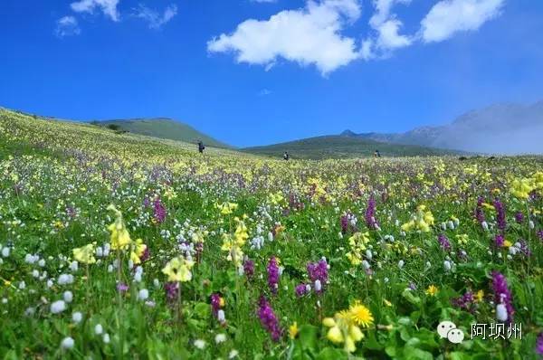 512汶川地震十二年铭记历史,缅怀汶川512地震