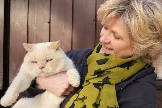 我家毛球最好抱了!不过该怎么抱?