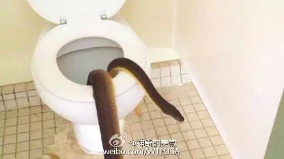 贵州产的老干妈,产自贵州的老干妈