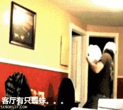 贵州产的老干妈,产自贵州的老干妈