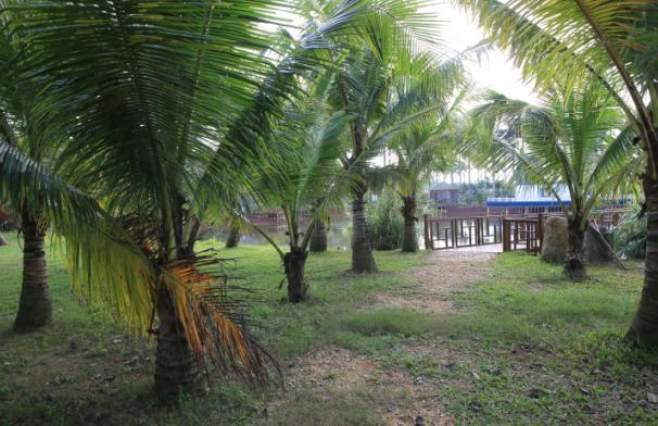 海南环岛骑行视频,海南环岛骑行驿站