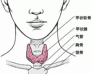 喉咙那个小疙瘩叫什么,喉咙有肿块是什么情况