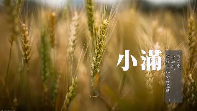 关于小满节气的生活哲理,小满是一个富有哲理的节气