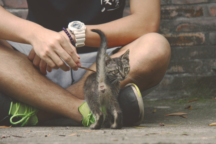 谈曾经广州恒大足球队,广州恒大足球俱乐部讲不出再见