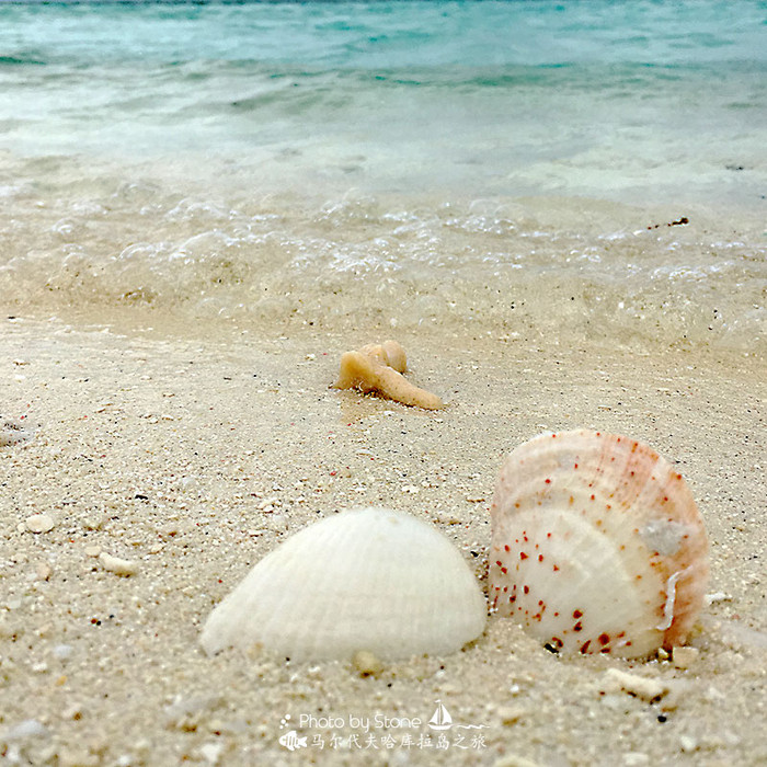 美丽的马尔代夫视频音乐,马尔代夫哈拉微莉岛游记