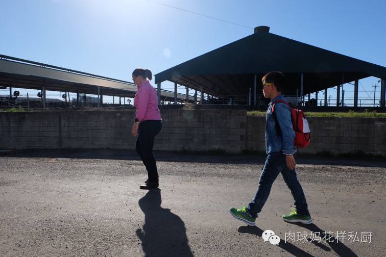 补钙长个子牛奶,长个补钙吃什么钙片最好