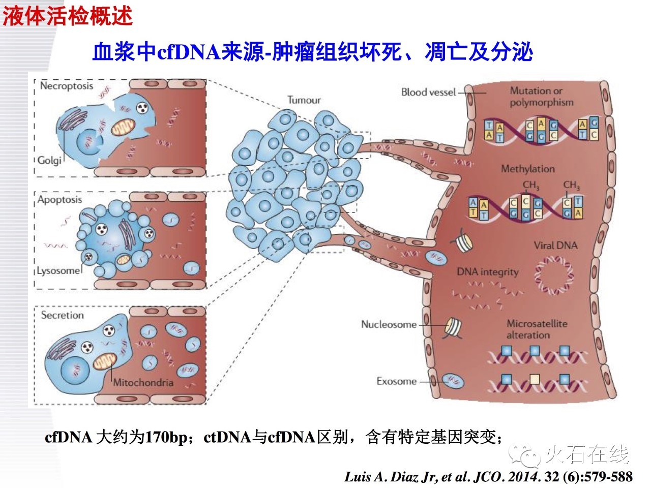 ctdna在癌症诊断中的应用,肿瘤靶向基因检测临床推广ppt