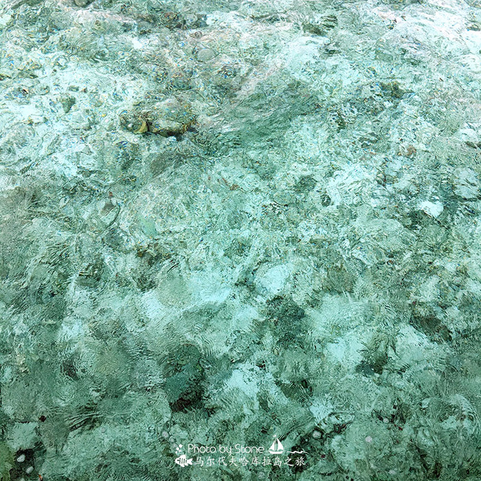 美丽的马尔代夫视频音乐,马尔代夫哈拉微莉岛游记