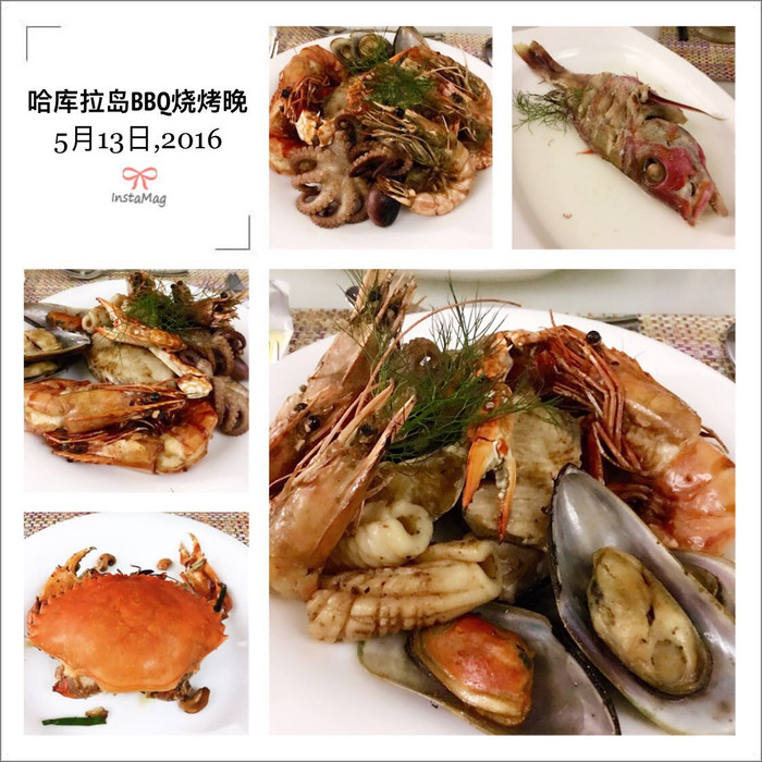 美丽的马尔代夫视频音乐,马尔代夫哈拉微莉岛游记