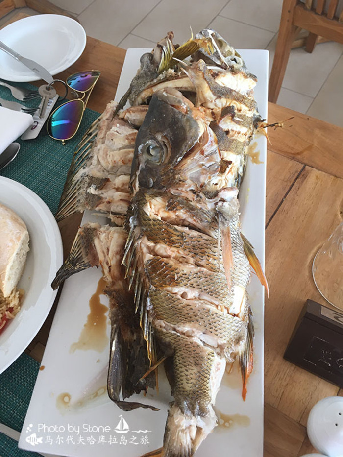 美丽的马尔代夫视频音乐,马尔代夫哈拉微莉岛游记