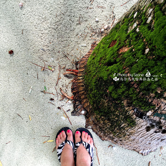 美丽的马尔代夫视频音乐,马尔代夫哈拉微莉岛游记