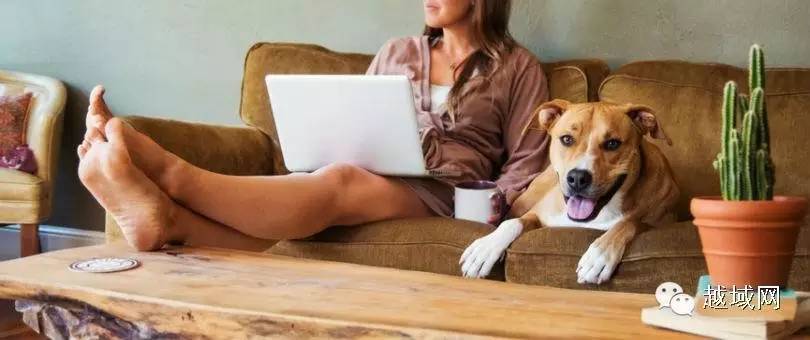 越域攻略如何设计让客户“上瘾”的忠诚度方案？