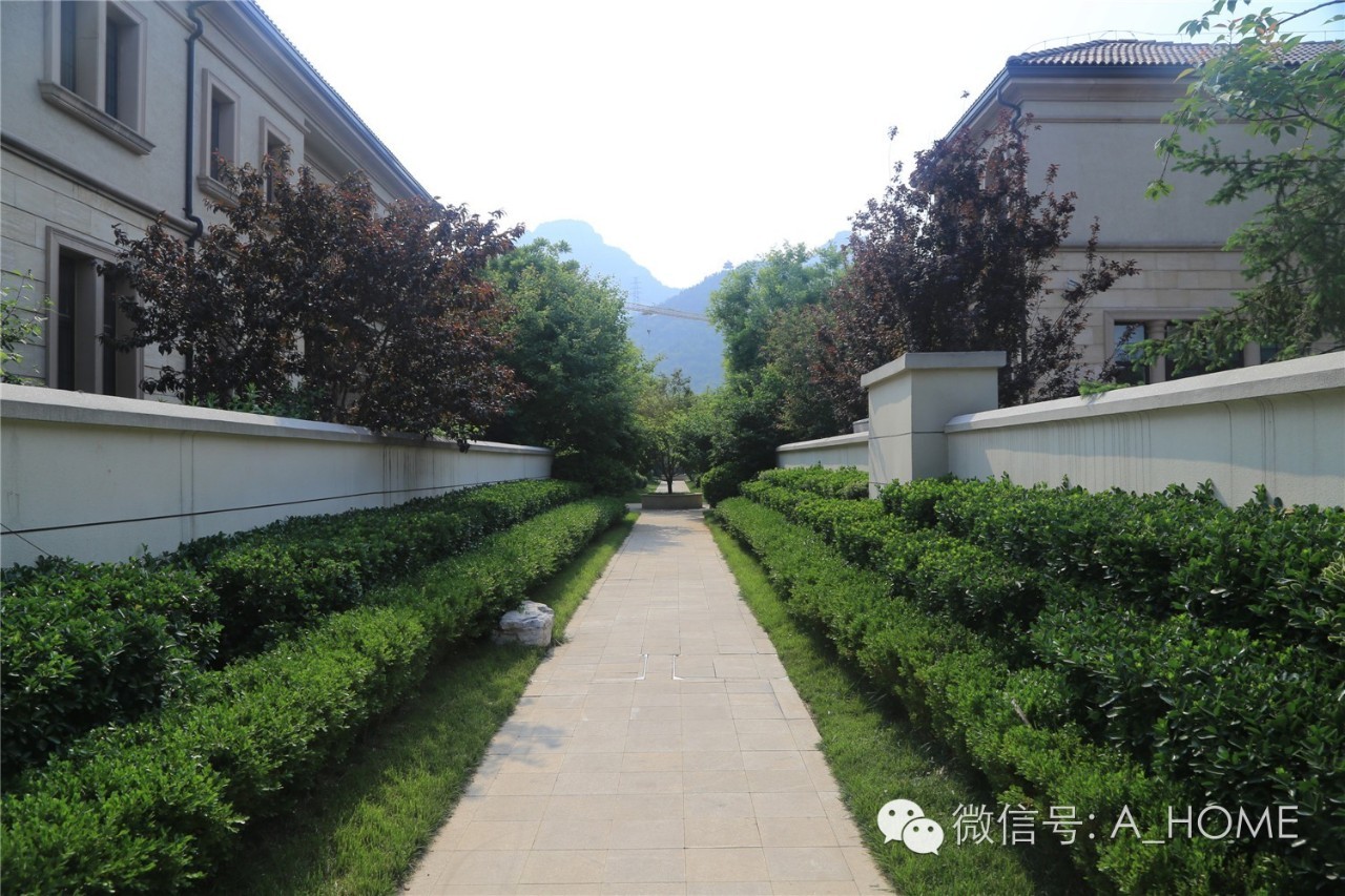 大者｜卧佛山下的“高订”私人别墅《河北画报·置家》对话星巣先河地产营销总监郝墨玉