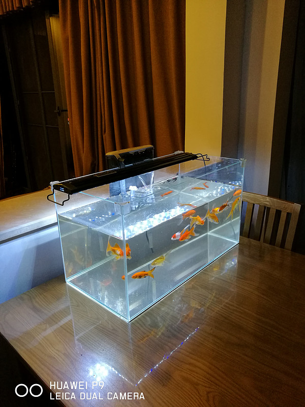 huawei华为p9,华为p9