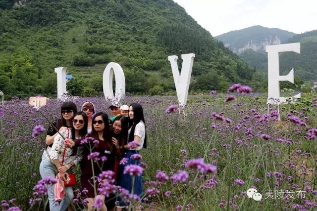 宜昌花海推荐,宜昌6月份花海景点有哪些