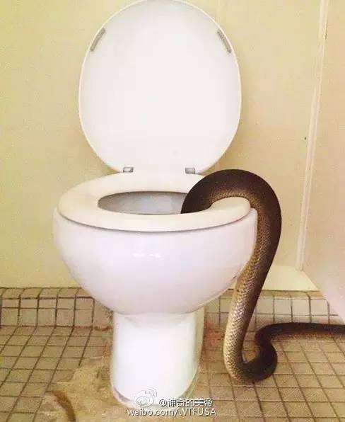 贵州产的老干妈,产自贵州的老干妈