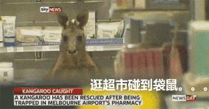 贵州产的老干妈,产自贵州的老干妈