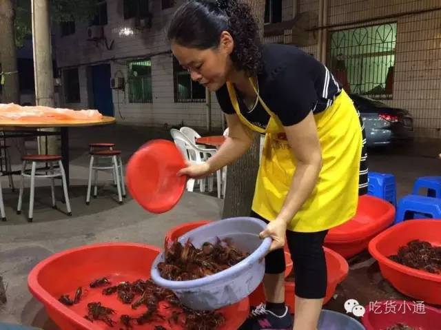 瀹佹尝璞″北缇庨蹇呭幓鐨勫崄瀹跺簵,瀹佹尝鍖椾粦缇庨蹇呭幓鐨勫崄瀹跺簵